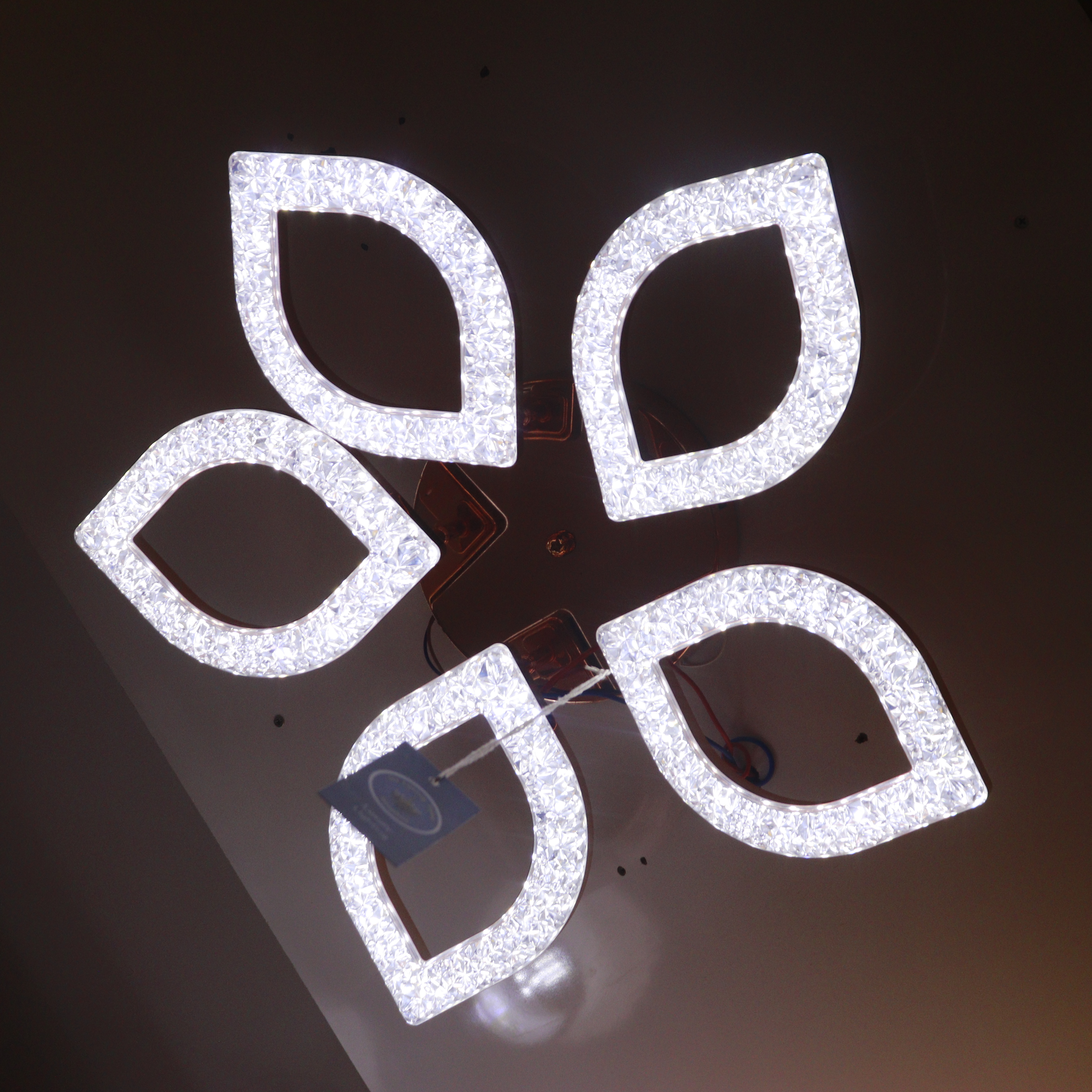 Ceiling Lights